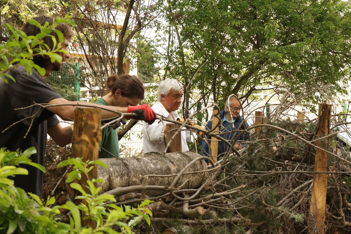 Des Espèces Parmi Lyon