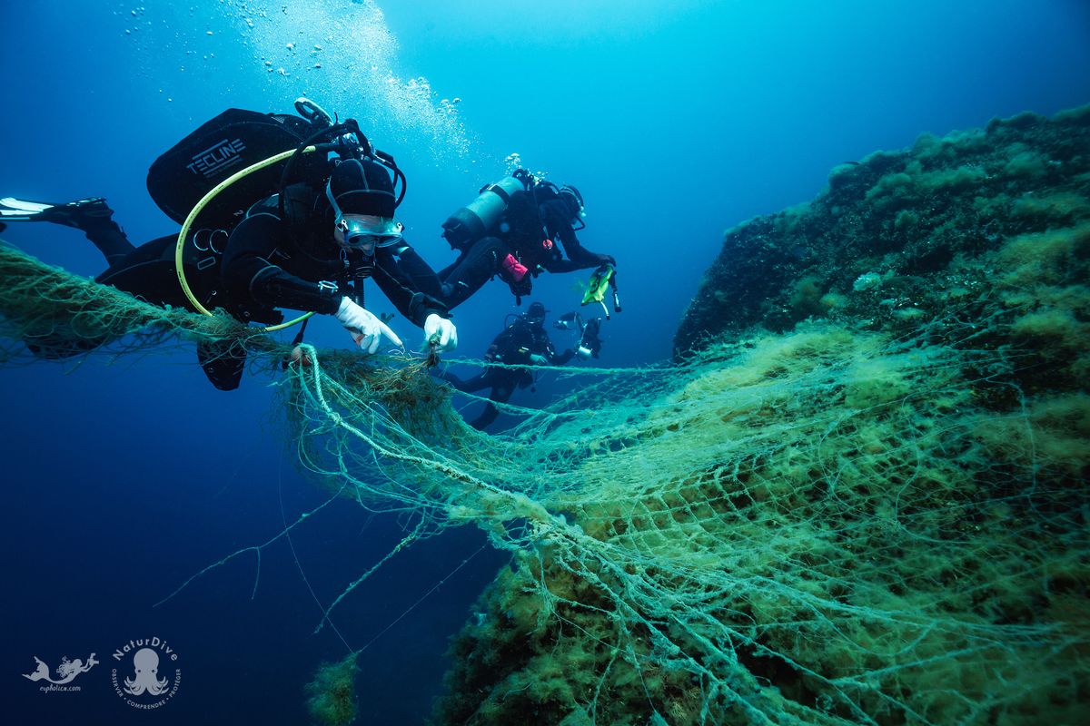 NaturDive