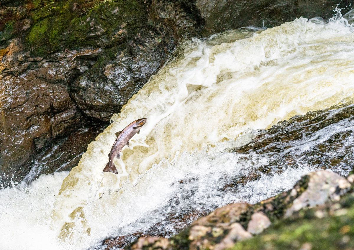 Eau & Rivières de Bretagne