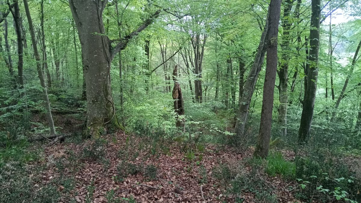 Nature en Occitanie