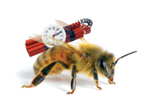 Terre d&rsquo;Abeilles