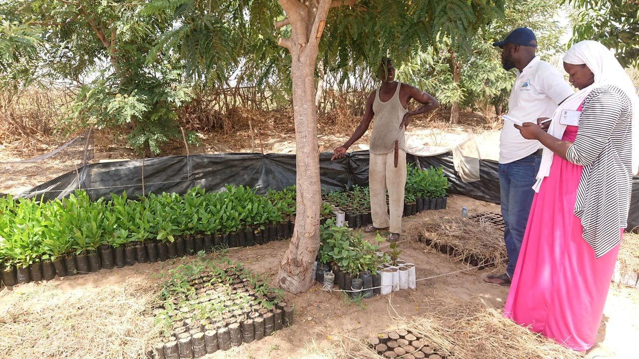 all4trees