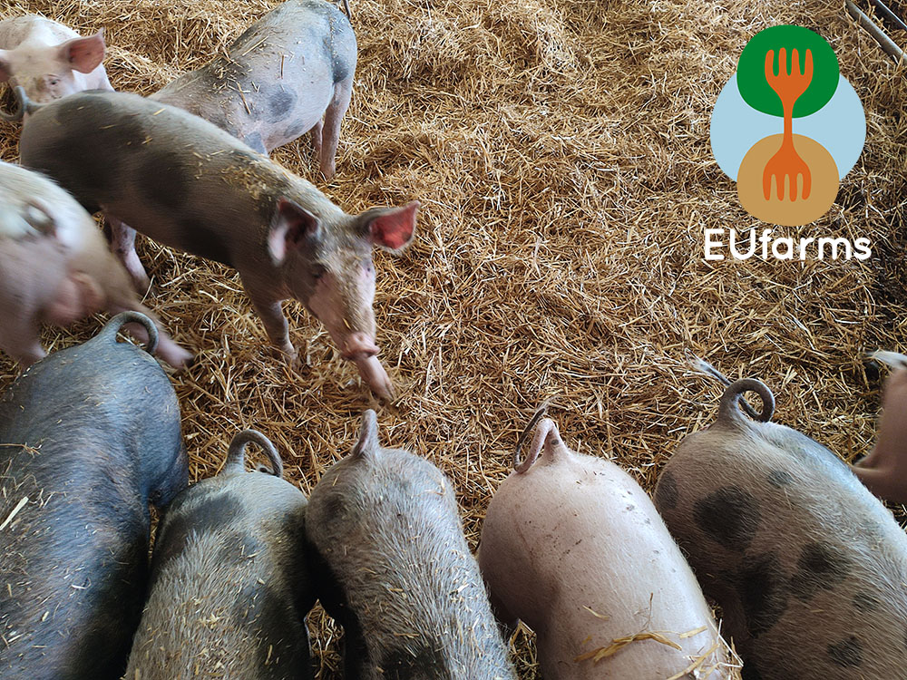 EU Farms